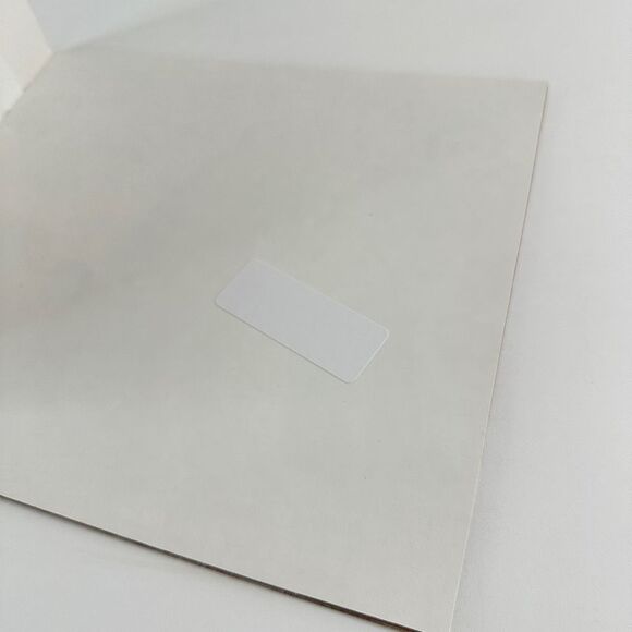 2/$6 Hands Around the Library book by Susan L. Roth-Protecting Egypt’s Books - Picture 3 of 11